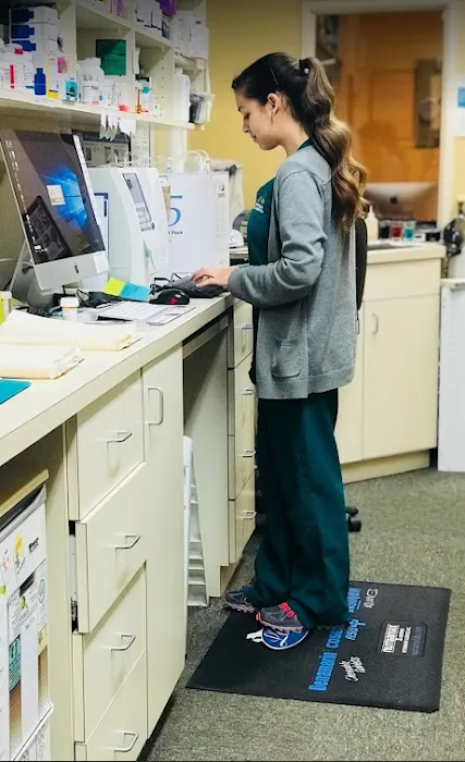 Hefner Road Animal Hospital Picture 10