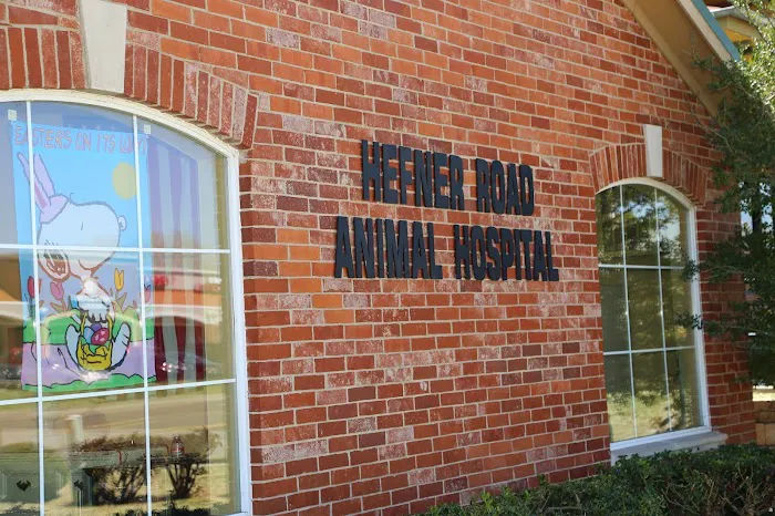 Hefner Road Animal Hospital Picture 8