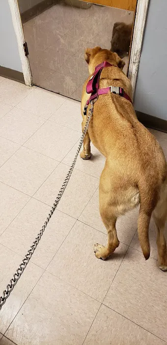 Rockwell Pet Clinic Picture 1