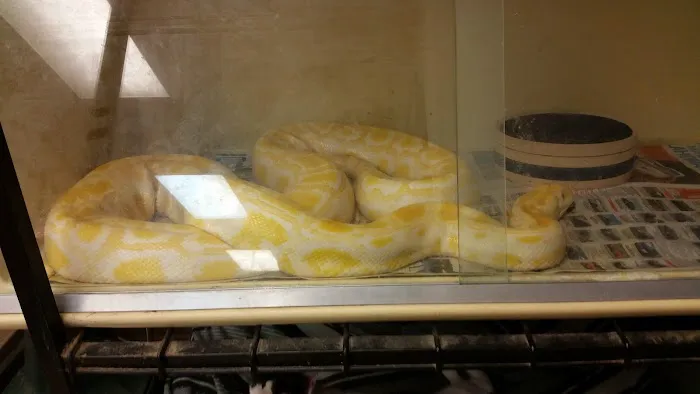 Rockwell Pet Clinic Picture 10