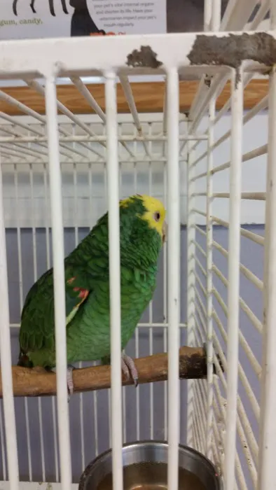 Rockwell Pet Clinic Picture 9