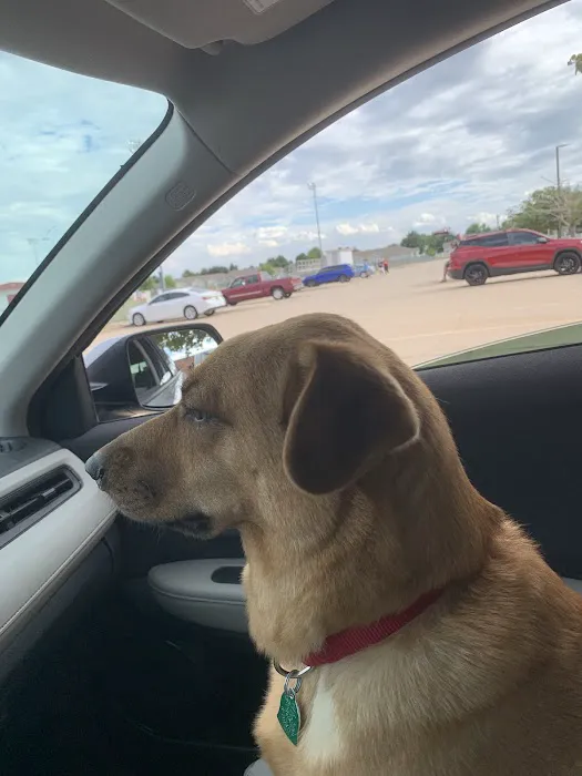 Harvest Hills Veterinary Hospital Picture 3