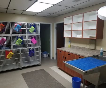 Harvest Hills Veterinary Hospital