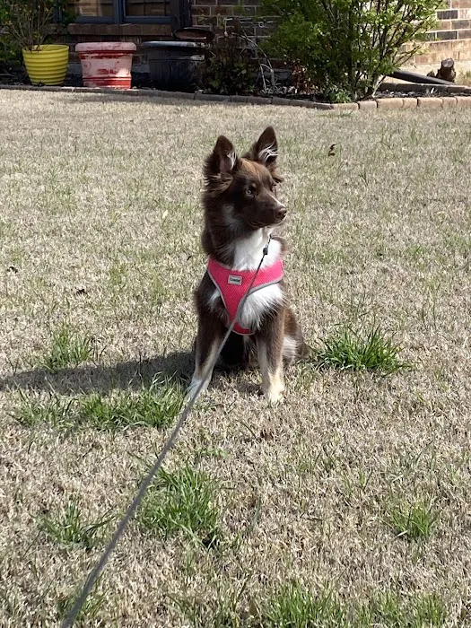 Harvest Hills Veterinary Hospital Picture 8