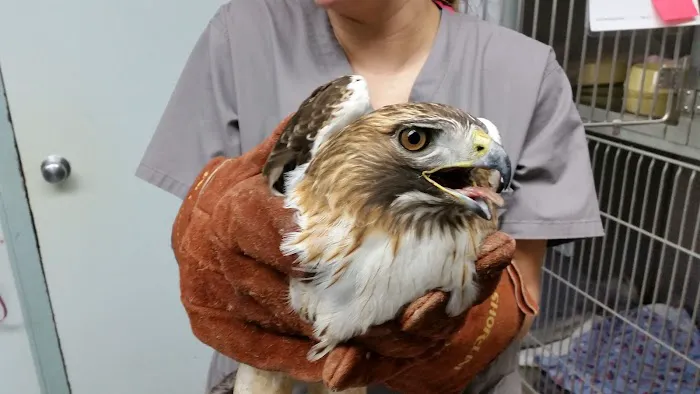 Harvest Hills Veterinary Hospital Picture 10