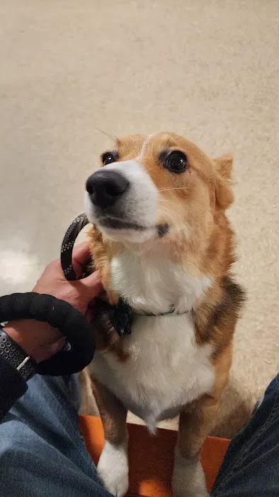 Banfield Pet Hospital Picture 2