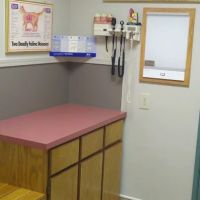 Peppertree Vet Clinic ico