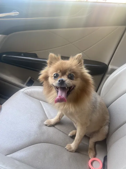 Peppertree Vet Clinic Picture 2