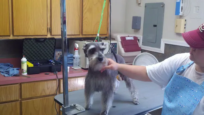 Peppertree Vet Clinic Picture 5