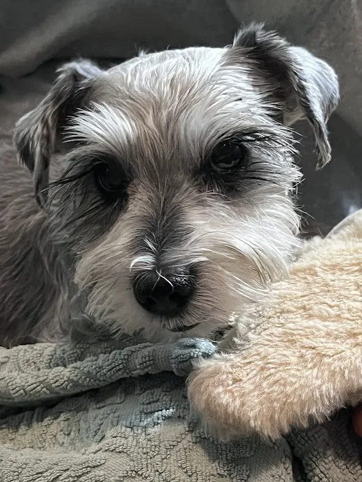 Neel Veterinary Hospital Picture 1