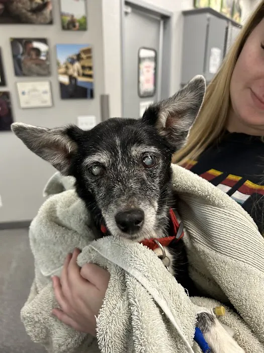 Neel Veterinary Hospital Picture 3