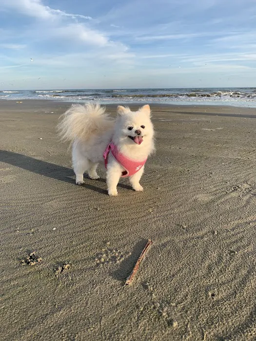 Neel Veterinary Hospital Picture 9