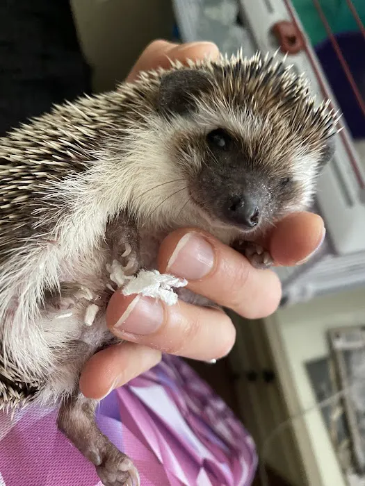 Neel Veterinary Hospital Picture 10