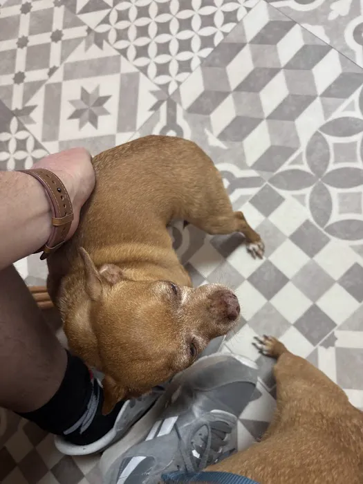 Agape Pet Clinic Picture 2