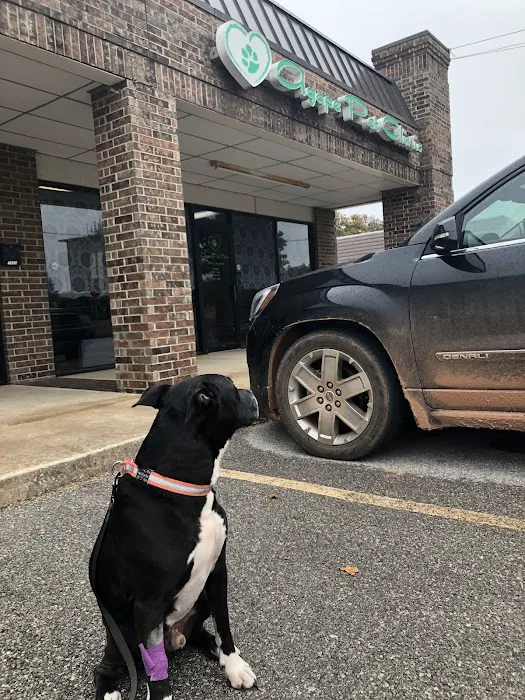 Agape Pet Clinic Picture 5