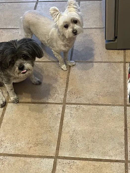 Dr. Craig Thomas DVM Picture 4