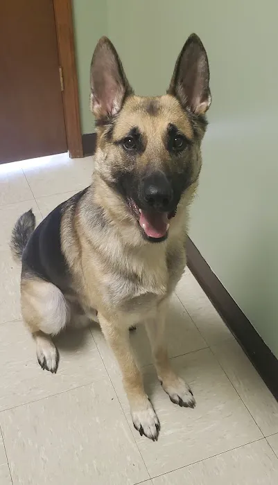 Dr. Craig Thomas DVM Picture 7