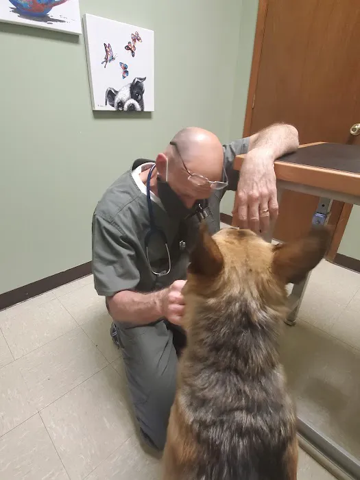 Dr. Craig Thomas DVM Picture 6