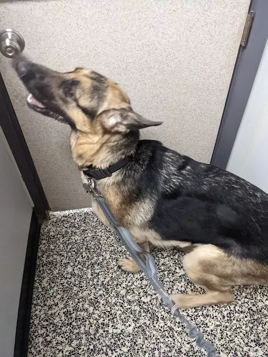 Council Veterinary Hospital Picture 1