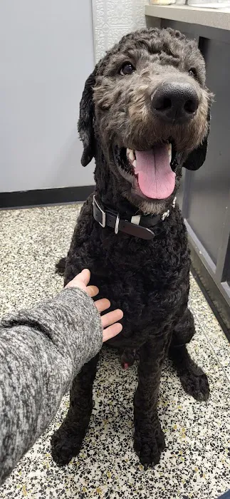 Council Veterinary Hospital Picture 2