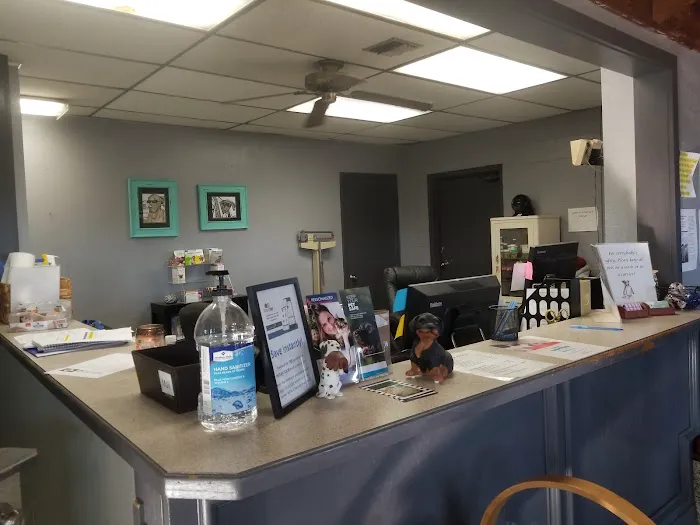 Council Veterinary Hospital Picture 9