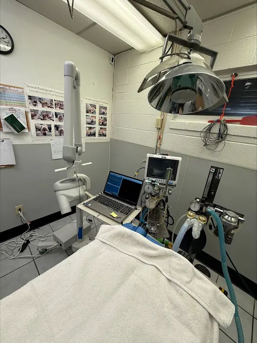 Council Veterinary Hospital Picture 10