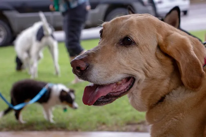 Cherokee Hills Veterinary Hospital Picture 3