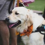 Cherokee Hills Veterinary Hospital