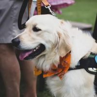 Cherokee Hills Veterinary Hospital ico