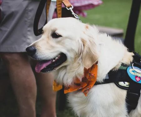 Cherokee Hills Veterinary Hospital