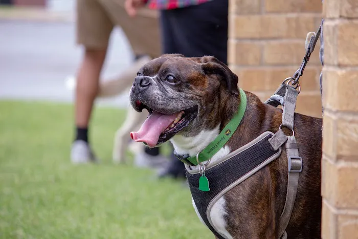 Cherokee Hills Veterinary Hospital Picture 7
