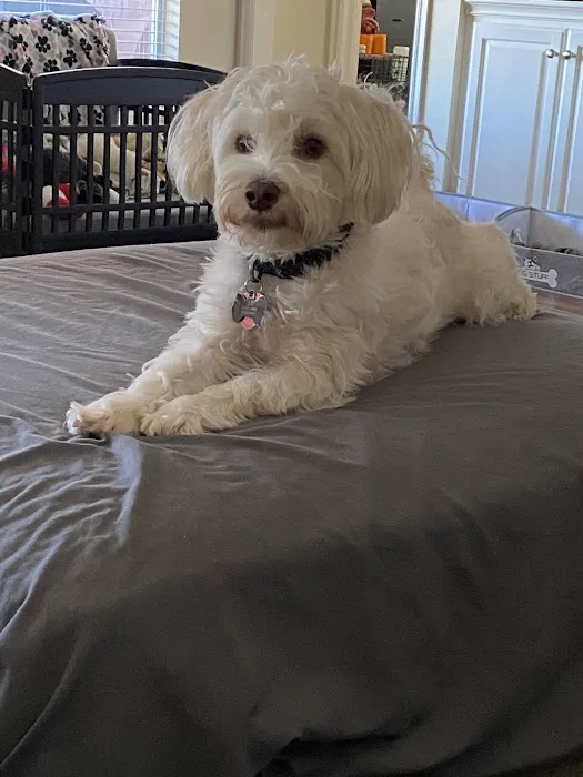 Woodlake Animal Hospital Picture 1