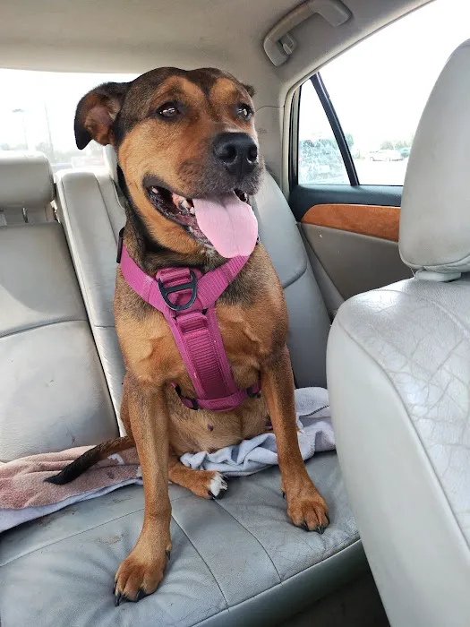 Woodlake Animal Hospital Picture 3