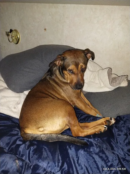 Woodlake Animal Hospital Picture 5