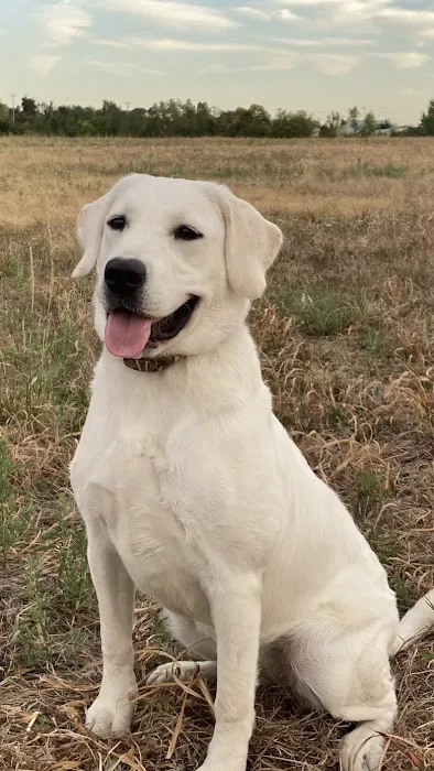 Woodlake Animal Hospital Picture 4