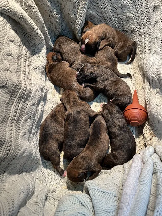 Woodlake Animal Hospital Picture 6