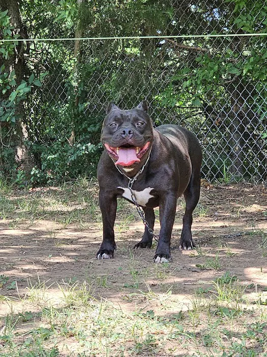 Woodlake Animal Hospital Picture 10