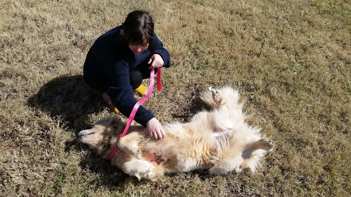 Piedmont Veterinary Clinic Picture 3