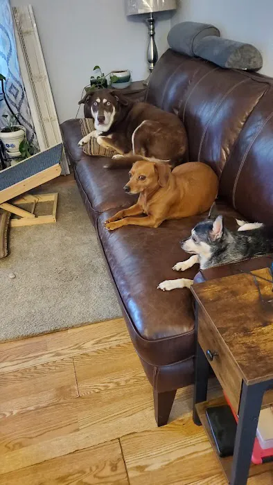 Piedmont Veterinary Clinic Picture 4