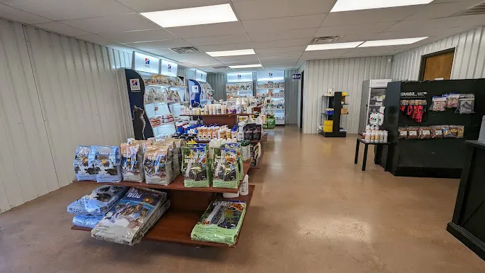 4V Animal Clinic Picture 2