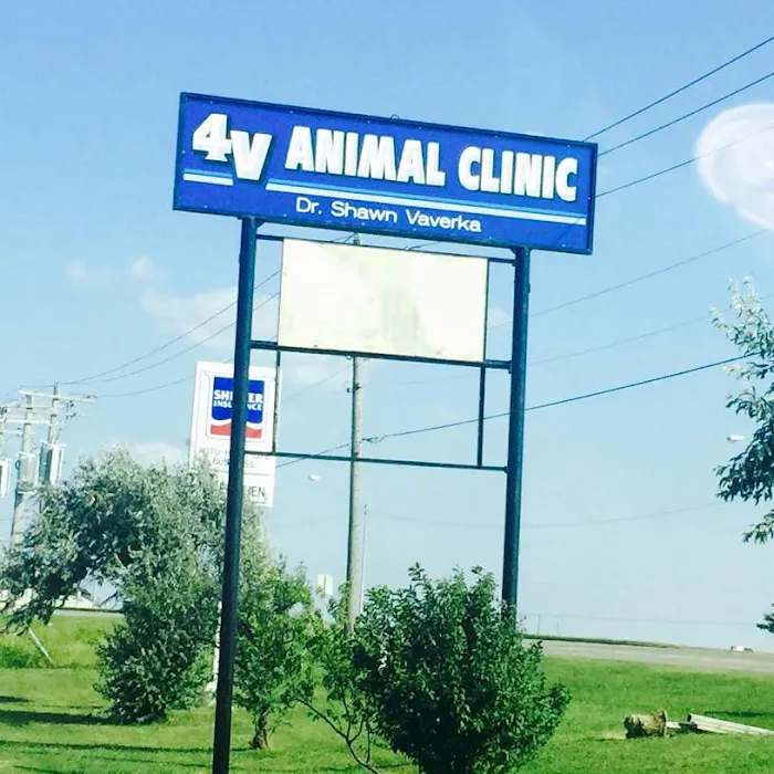 4V Animal Clinic Picture 10