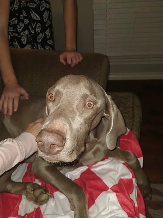 Canadian Valley Animal Clinic Picture 4