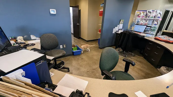 Canadian Valley Animal Clinic Picture 5