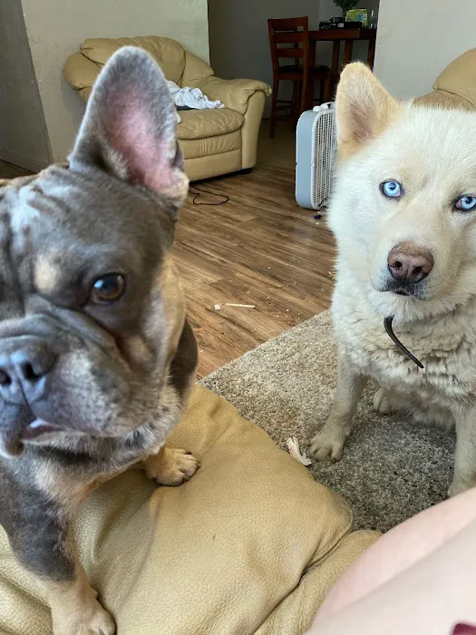 Canadian Valley Animal Clinic Picture 6