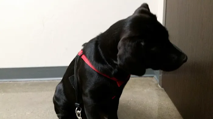 Canadian Valley Animal Clinic Picture 10