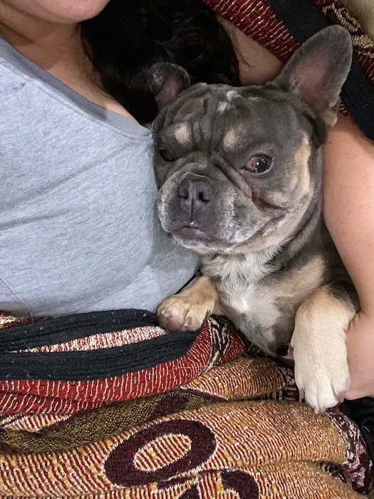 Canadian Valley Animal Clinic Picture 8