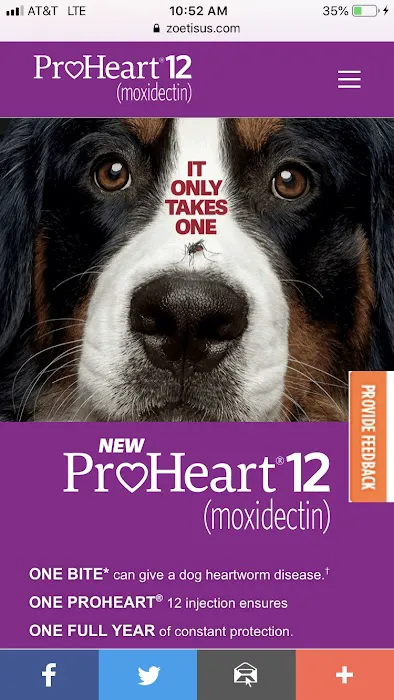 League Mobile Veterinary Picture 2