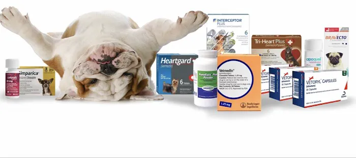 League Mobile Veterinary Picture 1