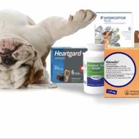 League Mobile Veterinary ico