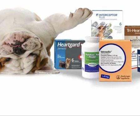 League Mobile Veterinary